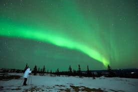 Excursión a las clásicas auroras boreales desde Reikiavik con guía en directo y audioguía de pantalla táctil