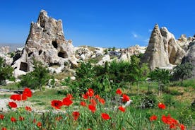 7-dages tur i Tyrkiet fra Kusadasi: Istanbul, Pamukkale, Ankara, Kappadokien og Efesos