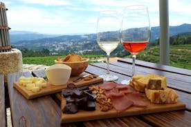 Excursion œnologique et dégustation au domaine vinicole de Quinta de Santa Cristina