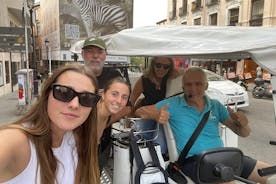 Private tour in electric Tuk Tuk for the highlights of Madrid
