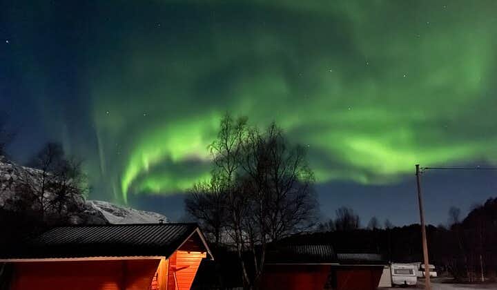 4 Days, 3 Countries Tour: Northern Lights and Moose