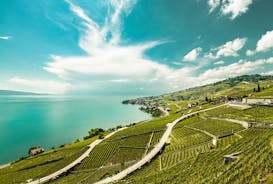 (KTG302) - Day Trip to Vevey, Montreux, Chillon from Geneva 