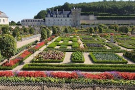 Tour del vino e del castello della Valle della Loira di 5 GIORNI con guida e sommelier