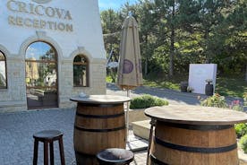 Cricova 酒窖 - 参观和品酒会