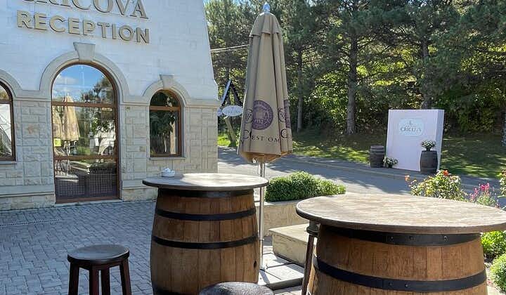 Cricova Cellars - Visit and tasting session