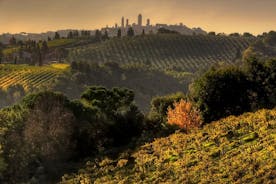 Liten gruppe Chianti og San Gimignano Sunset Trip fra Siena