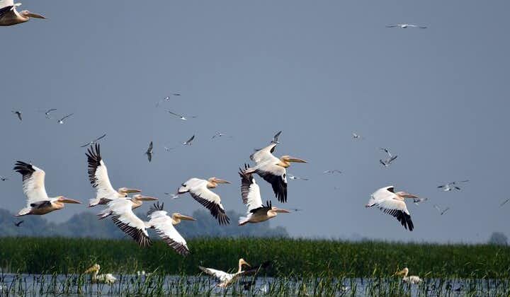 Danube Delta and Black See - 2 Days Private Tour from Bucharest