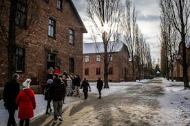 Tour met gids naar het herdenkingsmonument en museum Auschwitz-Birkenau vanuit Krakau