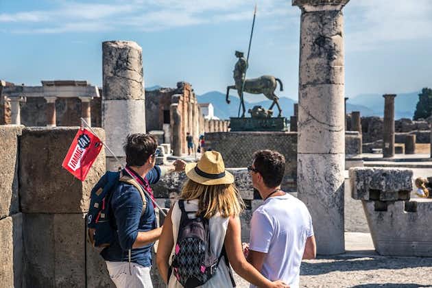 Privat overførsel fra Napoli til Sorrento med guidet tur i Pompeji