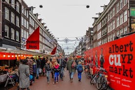Private 2-Hour Sightseeing Tour in Amsterdam