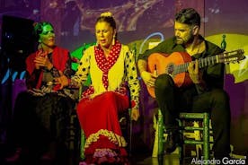 Flamenco Malaga Centro - Tablao Los Amayas