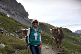 Visita guiada en Grindelwald, caminata