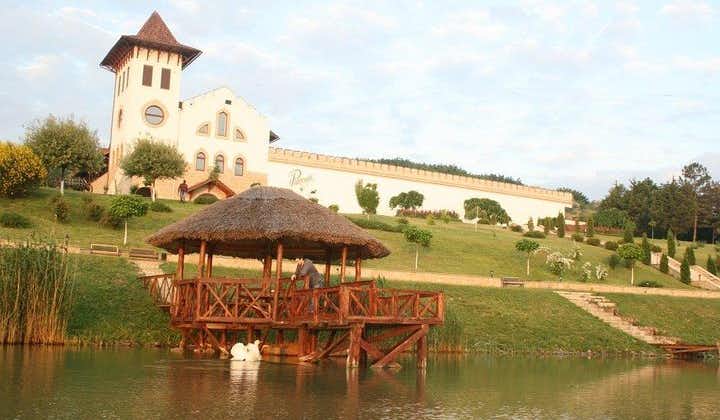 1 日: モルドバ ワイン ツアー キシナウからシャトー プルカリ ワイナリーへ