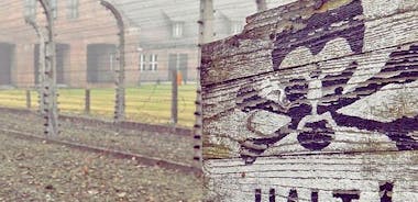 Auschwitz-Birkenau Tour från Wrocław