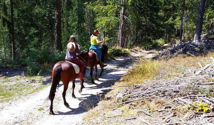 Private Bulgaria Horse Riding Tour to the Perelik Top in Smolyan