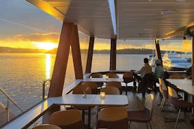Crucero turístico con cena de 3 platos por el fiordo de Oslo