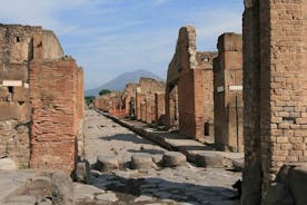 Pompejin ja Herculaneumin päiväretki Napolista