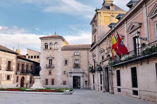 Excursión privada de medio día en Madrid con guía de historiador de arte