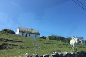 Heldags Wild Atlantic Galway guidet tur og fergecruise