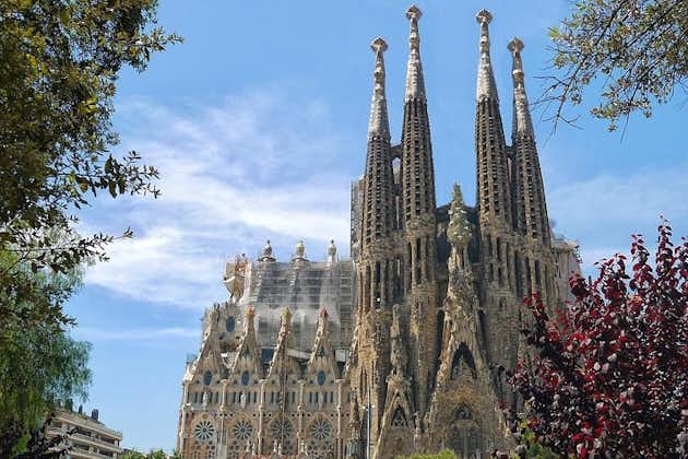 Sagrada Familia-tour met toegang zonder wachtrij