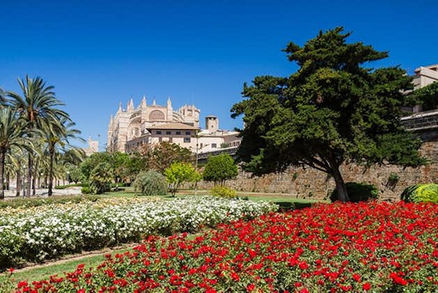 Excursion à Palma et Valldemossa avec cathédrale en option