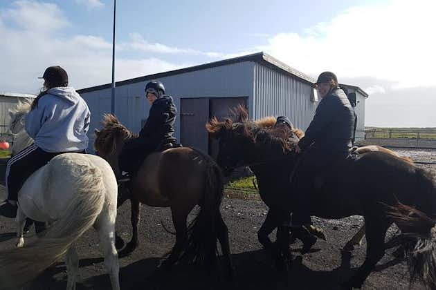 Familie paardrijtocht in Thorlakshofn