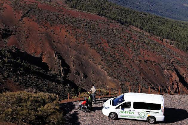 Get to know the Teide National Park and the north of Tenerife on a private tour
