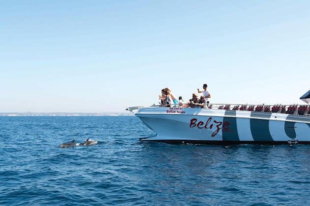 Avistamiento de delfines y paseo en barco por una cueva desde Albufeira