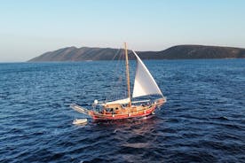 Full-Day Private Boat Cruise from Bodrum 