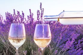 Provence Small Group Wine Full Day Tour in de wijngaard Chateauneuf du Pape uit Aix