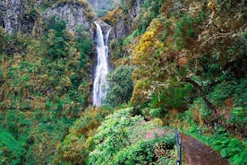 Caminata de día completo a Levada Rabaçal desde Funchal