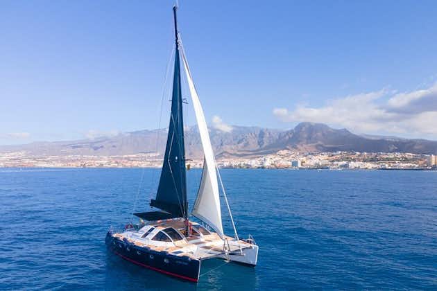 Tenerife Whales and Dolphins Watching Experience in Catamaran