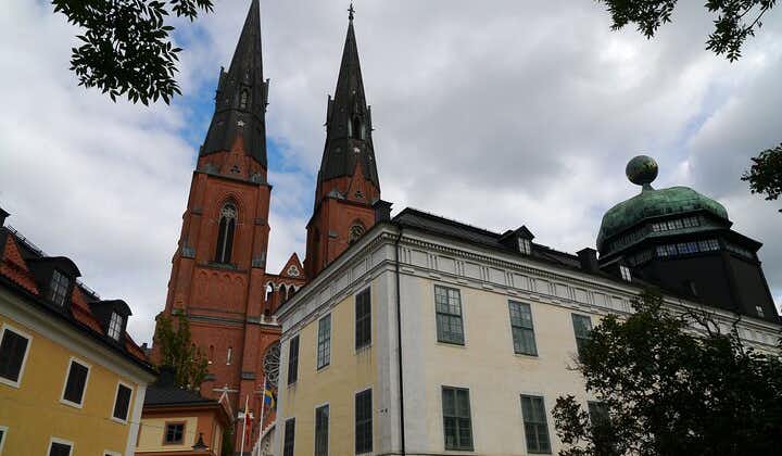 Guided 1h walking tour of Uppsala city's must see big attractions!!