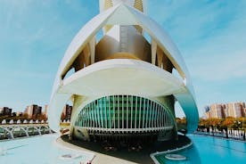 One Day Tour in Valencia from Alicante