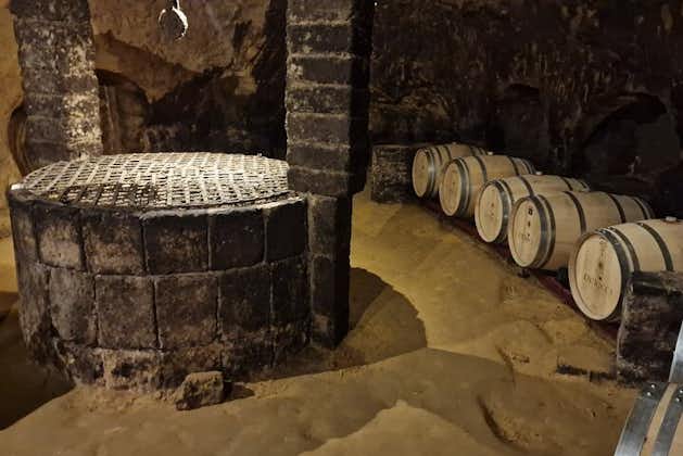 Wijnproeverij in Montepulciano met bezoek aan de privétour door de wijngaarden