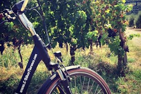 E-Bike Florencia paseo en Toscana con visita viñedo