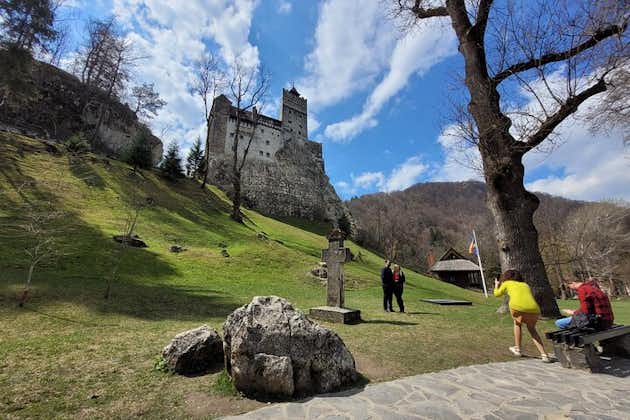 Castillo de Bran y santuario de osos de Brasov - Castillo de Peles opcional