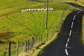 Excursão Terrestre: Dia de caminhada autoguiada Inishbofin Island Connemara coast.