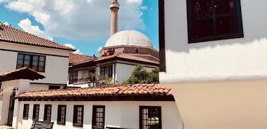 Full Day Tour of Kosovo from Skopje; Pristina & Prizren