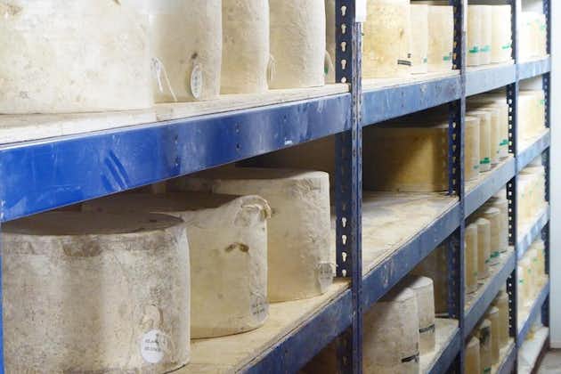 Wells, Cheddar Cheese og Cheddar Gorge - Privat dagstur fra Bath