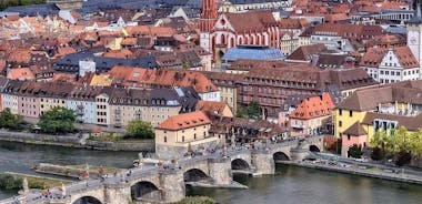 Wurzburg Private Walking Tour With A Professional Guide
