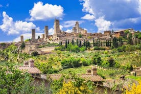 Privat Toscana-tur: Siena, Pisa och San Gimignano från Florens