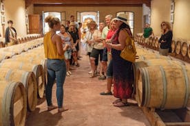 Halvdagstur til vingårde i Bordeaux med vinsmagning
