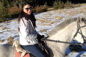 Hin fullkomna einkarekna Balkan hestaupplifun