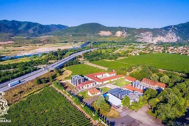Wine tour Macedonia