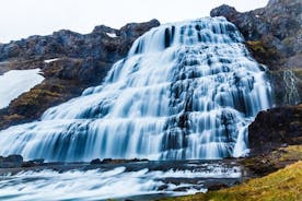 Visita a la cascada de Dynjandi y la granja de Islandia