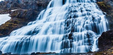 Dynjandi Waterfall & Iceland Farm Visit Tour