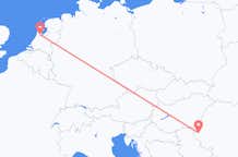 Flights from Timișoara to Amsterdam