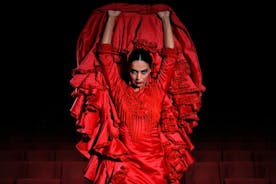 Biglietto per lo spettacolo di flamenco al teatro di Madrid