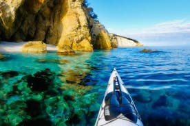 Excursión en kayak de mar de día completo a la isla de Elba